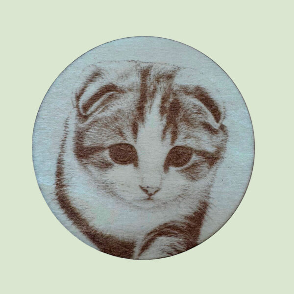 sous verre animal