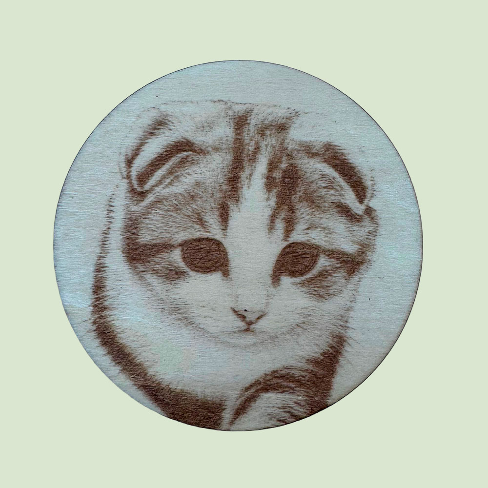 sous verre animal